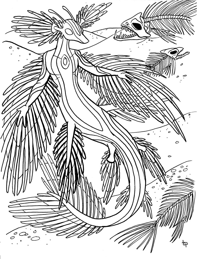 Nudibranch Dragon