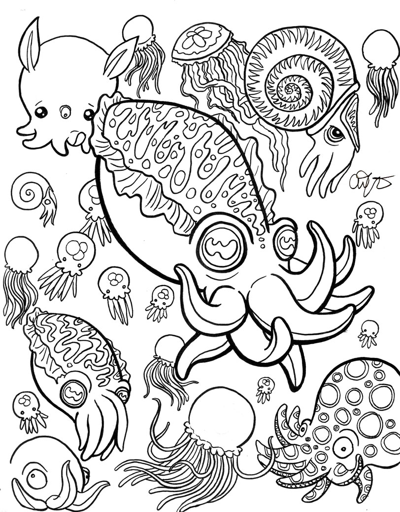 Cephalopods